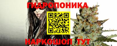 apvp Ликино-Дулёво